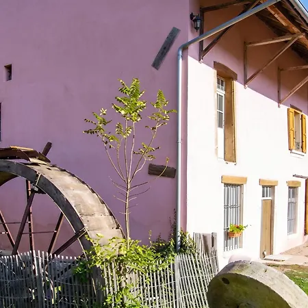 Maison Charmante A Avec Jardin Cloture *