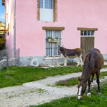 Holiday home Maison Charmante A Avec Jardin Cloture Chirens