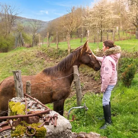 Maison Charmante A Avec Jardin Cloture Chirens